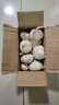 紫白皮蒜水果大蒜超市即食生鲜蔬菜大蒜 特价带箱 1斤 单果3.5-5cm 实拍图