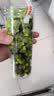 高特轴OUTEMU水蜜桃轴V3静音轴机械键盘轴体热插拔客制化多巴胺轴青柠轴火龙果轴 适配狼蛛f87pro vgn 青柠轴V3 110颗（罐装） 带导光柱 实拍图