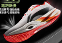 李宁追风PRO丨专业竞速训练碳板跑步鞋25秋冬男女运动鞋ARPV017 实拍图