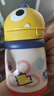 babycare儿童保温杯婴儿宝宝吸管水杯霸王龙不锈钢保温杯300ml-新旧款混发 实拍图