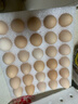 京鲜生 无抗保洁鲜鸡蛋30枚/盒 健康轻食 礼盒送礼 1.5kg/盒 源头直发 实拍图