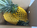 京鲜生 海南金钻凤梨  2个装 单果2斤起  生鲜水果 实拍图