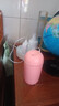 加湿器家用空气加湿器净化器香薰机空调房加湿器喷雾器usb静音卧室孕妇婴儿喷雾宿舍学生女生礼物 升级大容量【少女粉420ML+深层补水+自动断电】 实拍图