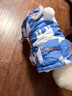 华元宠具（hoopet）狗狗衣服冬天保暖四脚羽绒服宠物小型犬比熊柯基棉服泰迪冬季衣服 【加厚加绒】四脚棉服 蓝 XL：背长37cm【建议9-12斤】 实拍图