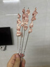 尚烤佳（Suncojia）304不锈钢烧烤签 羊肉串烤肉签子 扁烤针 加长铁签子 烧烤工具 实拍图