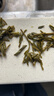 西湖江南茶叶自己喝绿茶明前龙井特级新茶送生日礼物货品50g小罐 实拍图