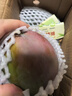 集南鲜 凯特芒果 四川攀枝花芒果当季大青皮黄皮大芒果新鲜水果整箱 特级果王 单果600g起  净重4.5斤 实拍图