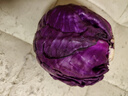 【特惠蔬菜】新鲜紫甘蓝卷心菜紫色包菜红椰菜紫球生菜即食沙拉菜 试吃【1斤】新鲜农家菜 新鲜发出 人工精选 实拍图
