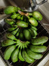 正宗苹果蕉广西香蕉自然熟新鲜水果奶蕉粉蕉小米芭蕉鹏贸 净重5斤 实拍图