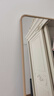 密林穿衣镜落地全身镜挂门服装店试衣镜简约家用壁挂镜 金色框160*50 实拍图