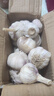 紫白皮蒜水果大蒜超市即食生鲜蔬菜大蒜 特价带箱 1斤 单果3.5-5cm 实拍图