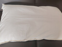 京东京造荞荞枕加大款 100%荞麦壳填充透气高度可调花草枕头单只装 实拍图