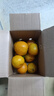 京喜加云南湖北青皮蜜桔橘子高山青皮酸桔子应季时令水果孕妇生鲜 蜜桔带箱3斤50-60mm 实拍图