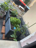 谢冰燃家用阳台花园种植箱塑料花盆大号花箱户外阳台种菜盆单排加深2联 实拍图