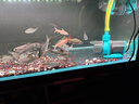 创宁鱼缸渔池循环变频潜水泵 水族箱安静抽水  水陆两用 鱼池假山过滤 升级款【超轻音80W】流量4300-12000L 实拍图