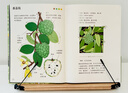 小澈麻麻：给孩子的果蔬观察笔记（水果+蔬菜 2册套装）原创高品质 随书附赠62张涂色线稿+2张大幅精美海报！ 实拍图