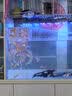 森森鱼缸水泵小型小水泵潜水泵水循环鱼缸过滤泵抽水泵迷你潜水泵 XQP-500 6W水泵可调流量+1米水管 实拍图