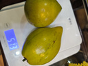优味集【JD顺丰】蛋黄果鸡蛋果新鲜面包果热带水果生鲜云南特产狮头果 500g甄选超大果（单果200g+） 实拍图
