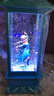 迪士尼（Disney）冰雪奇缘艾莎公主音乐八音盒水晶球女孩学生生日礼物风灯摆件 实拍图