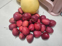 映棠 东北鸡心果5斤【顺丰快递—多地次日达】海棠果玫瑰小苹果礼盒装 3斤大果【人工精选】 现摘现发 实拍图