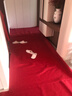 红地毯一次性结婚用开业店铺门口迎宾整铺婚庆婚礼加厚长期用红毯 红地毯约2.0mm厚 1米宽10米长 实拍图