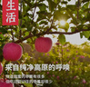 陇原红【顺丰到家】静宁苹果甘肃红富士苹果新鲜孕妇水果源头直发包邮 净重4斤宝宝果70mm 实拍图