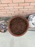 漫生活16L营养土赠2肥1种子1药剂花土通用种花土壤养花种植土有机种菜土 实拍图