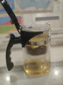 富光 耐热玻璃过滤茶壶茶具按压式内胆泡茶壶茶水分离水壶 实拍图