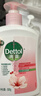 滴露（Dettol）洗手液滋润500g*6 抑菌洗手液家庭装大桶儿童消毒无酒精温和护手 实拍图