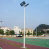 户外高杆灯足球场篮球场灯可升降广场中杆灯6米15米30米led投光灯 不升降5米2火T型100瓦 实拍图