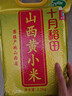 十月稻田 山西黄小米 5斤 五谷杂粮 粗粮 早餐小米粥 2.5kg 实拍图