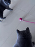 HELLOJOY猫咪玩具自嗨解闷神器智能电动逗猫球自动逗猫棒幼猫遛猫消耗体力 实拍图