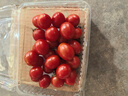 新鲜采摘圣女果樱桃小番茄蔬菜 带箱1斤精选果 实拍图