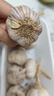 紫白皮蒜水果大蒜超市即食生鲜蔬菜大蒜 [活动]10头 200g 单果3.5-5cm 实拍图
