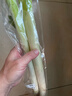 【产地直采】大葱约450g 实拍图
