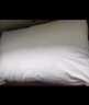 水星家纺枕头枕芯酒店枕头护颈枕头芯家用一对纯棉抗菌可水洗中枕48x74cm 实拍图