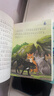 学而思 猫武士美绘注音版第一辑 奇幻动物小说故事小学生一二年级阅读课外书必读书籍 全6册 实拍图
