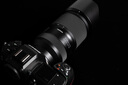 腾龙（Tamron）A065Z 70-180mm F/2.8 Di III VC VXD G2二代防抖大光圈长焦变焦全画幅微单镜头（尼康Z卡口） 实拍图