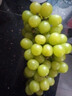 阳光玫瑰青提葡萄新鲜水果晴王香印晴王提子整箱产地直发 带箱3斤(10g+) 实拍图