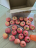 京鲜生 陕西洛川红富士苹果 净重10斤 单果200g 生鲜水果 实拍图