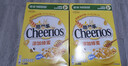雀巢（Nestle）进口蜂蜜脆谷乐儿童300g谷物脆儿童营养麦片即食非油炸全谷物 实拍图