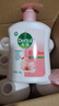 滴露（Dettol）洗手液滋润500g*6 抑菌洗手液家庭装大桶儿童消毒无酒精温和护手 实拍图