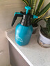 凯姿（KAZZ）小喷壶浇花家用气压式喷雾器养花洒水壶洗车消毒高压喷水壶2L 实拍图