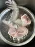 清爵鳄鱼肉鳄鱼尾鳄鱼腿肉鳄鱼腩肉鳄掌肉带皮鳄鱼生鲜肉食材净重 2斤腿肉+2斤尾巴肉 实拍图