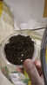 营养土养花种菜土壤有机兰花植物盆栽种植椰砖土 【推荐】营养土20斤（混入多菌灵 实拍图