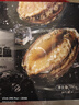金唐鲜冻大鲍鱼净重500g/ 10头鲍 带壳鲍鱼肉 贝类海鲜生鲜火锅烧食材 实拍图