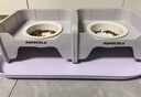 POPOCOLA猫碗陶瓷斜口保护颈椎狗狗食盆宠物猫粮加高脚猫咪防打翻饭碗狗碗 高低陶瓷双碗【35.5*19.5】 实拍图