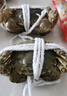 【活蟹】湖中秋色六月黄鲜活大闸蟹螃蟹现货2.5-2.8两8只去绳足重生鲜礼盒 源头直发 实拍图