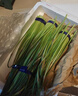 京鲜生山东红帽蒜苔净重3斤粗细适中色泽饱满蒜薹 源头直发 实拍图
