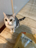 好主人成猫猫粮全价成猫天然粮通用鸡肉味猫粮2.5kg*3 实拍图